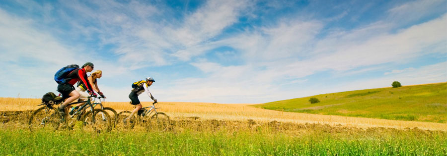 Cyclists in a corn field