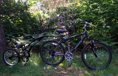 26" wheel Dawes cycle & Adams tag-a-long